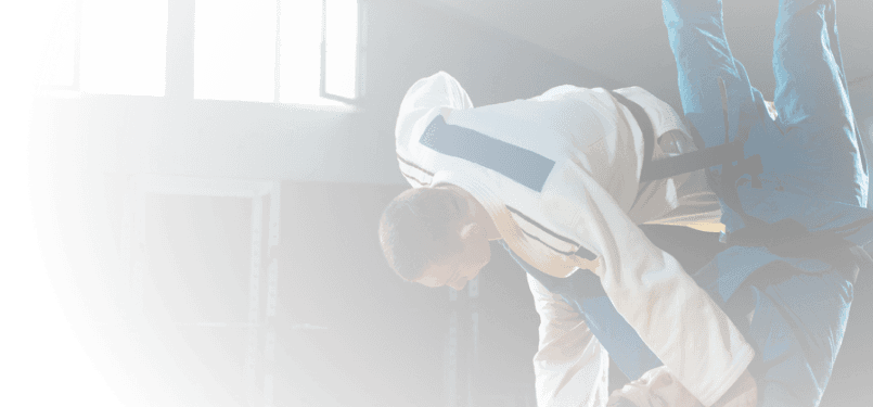 Judo training